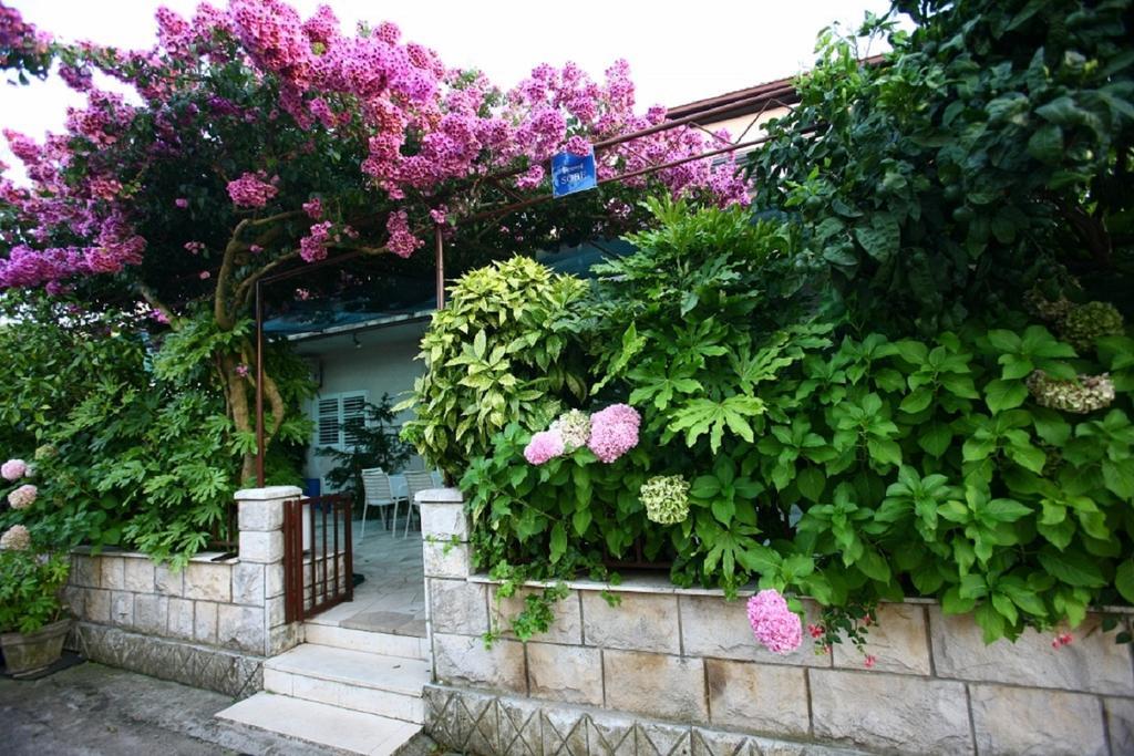 Apartments Indira Lovište Kamer foto