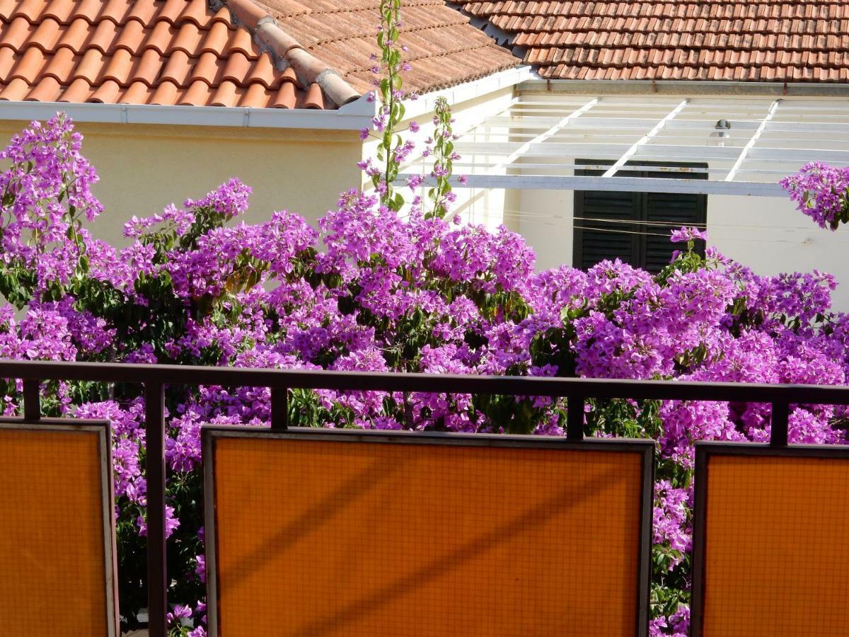 Apartments Indira Lovište Buitenkant foto